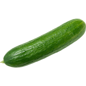 Cucumber PNG-12602